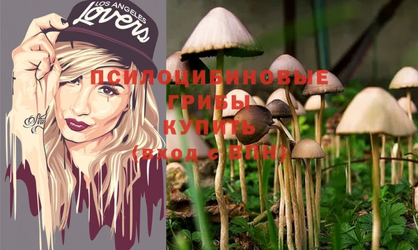 МДПВ Бронницы
