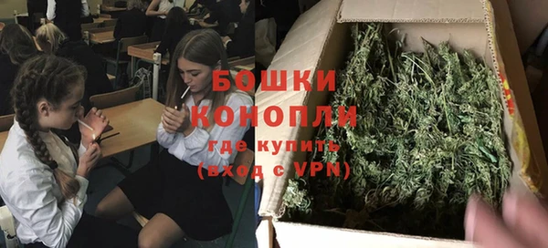 МДПВ Бронницы