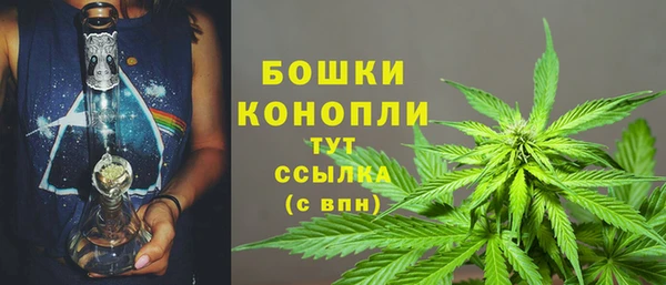 мяу мяу мука Бородино