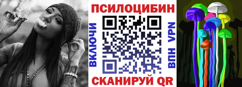 Псилоцибиновые грибы мицелий  цены   Кашира 